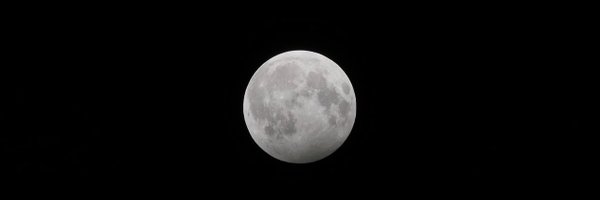 cococchism Profile Banner