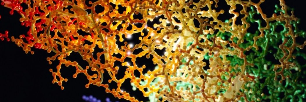 Computational BiopHysics Lab banner