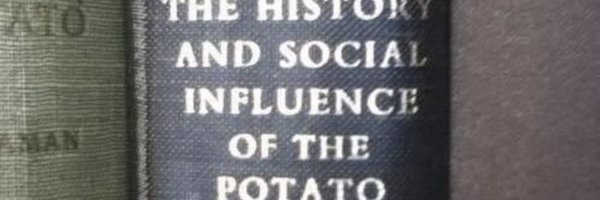 amberxelliott Profile Banner