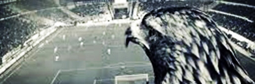 ebrully's profile banner image