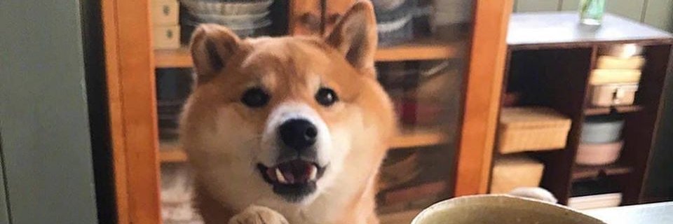 ineverforget14's profile banner image
