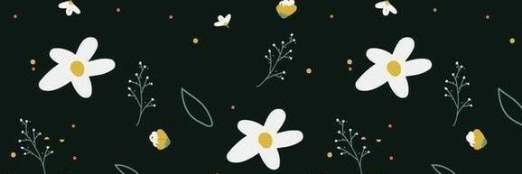 BrendaTorcatL's profile banner image