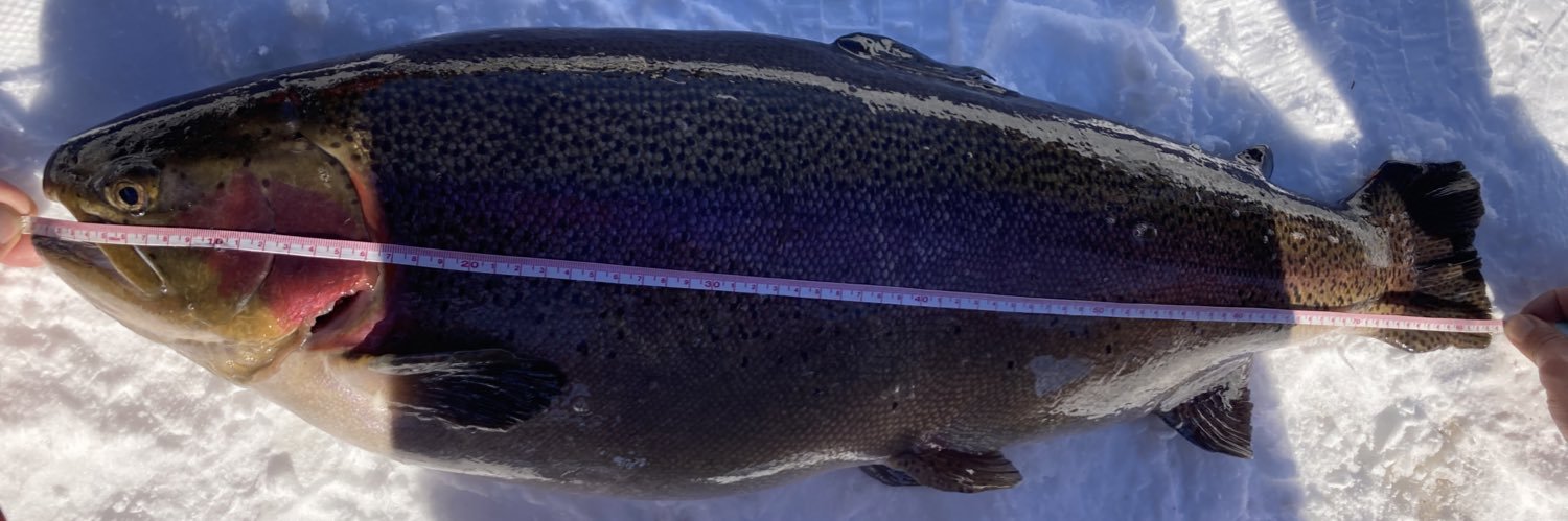 レナスヘビィ banner