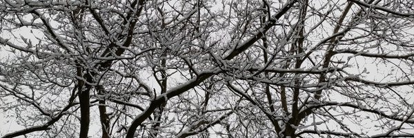 YalinieV Profile Banner