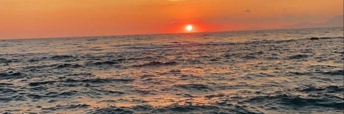 TeaRose_17's profile banner image