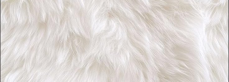 hvnsnt11's profile banner image
