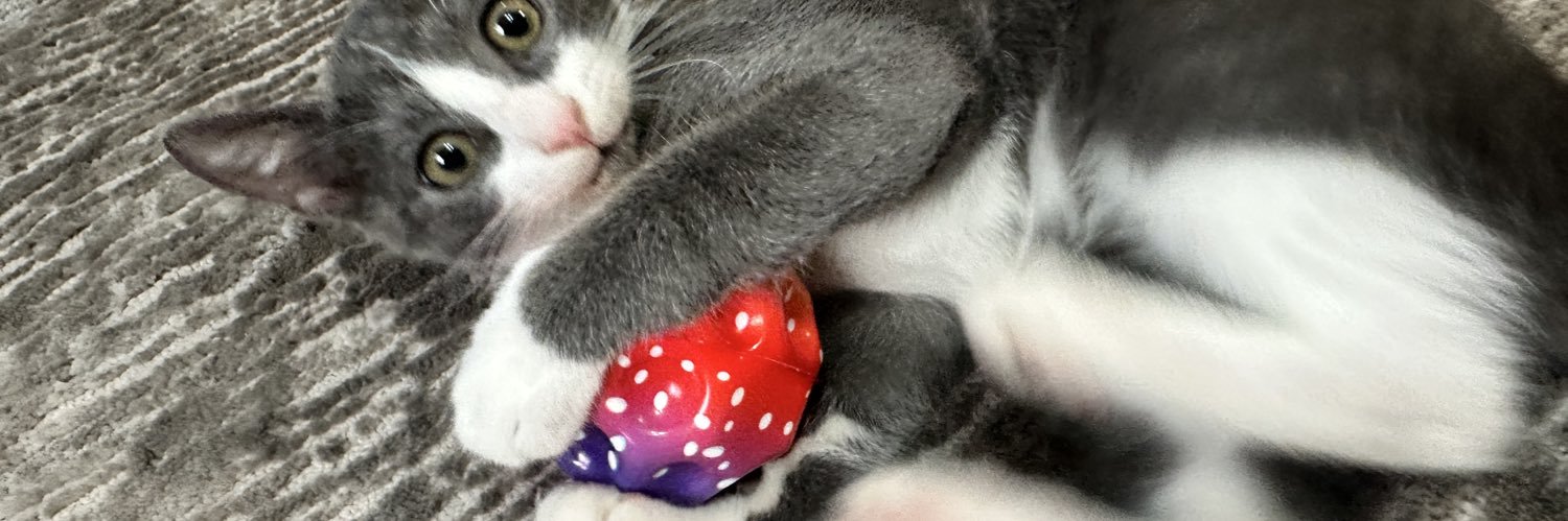 Alien 🇺🇸🇺🇸🇺🇸🇺🇸 banner