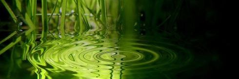 Pedro_Escribia's profile banner image