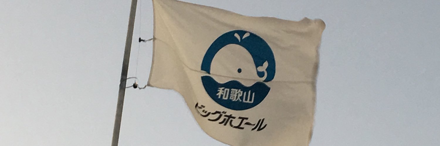 🌈にゃお(=・∞・=)ねこまっしぐら banner