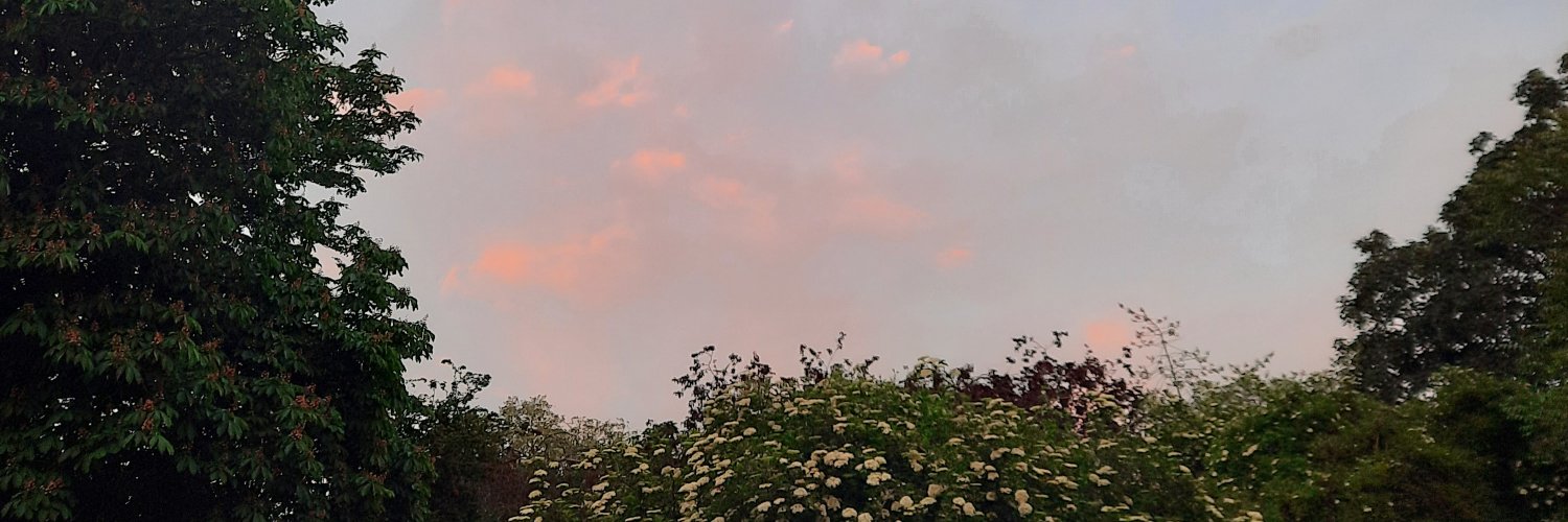 Clo_vdn's profile banner image