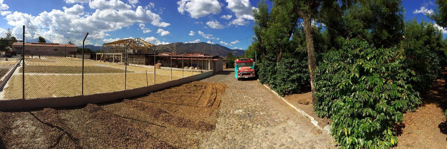 SteveGuinness banner