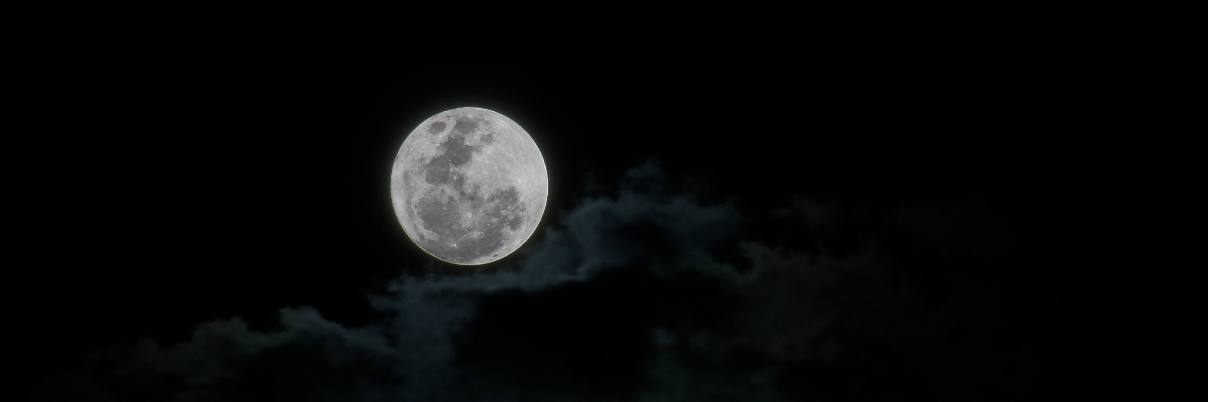 PixlRabt's profile banner image