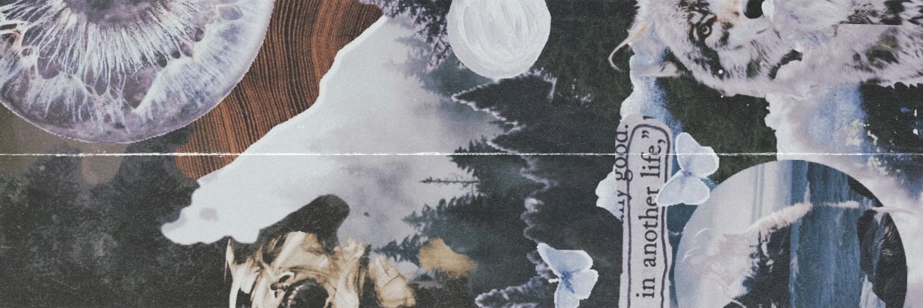 ꒰ 𓆤 ⁀₊ ˚ banner