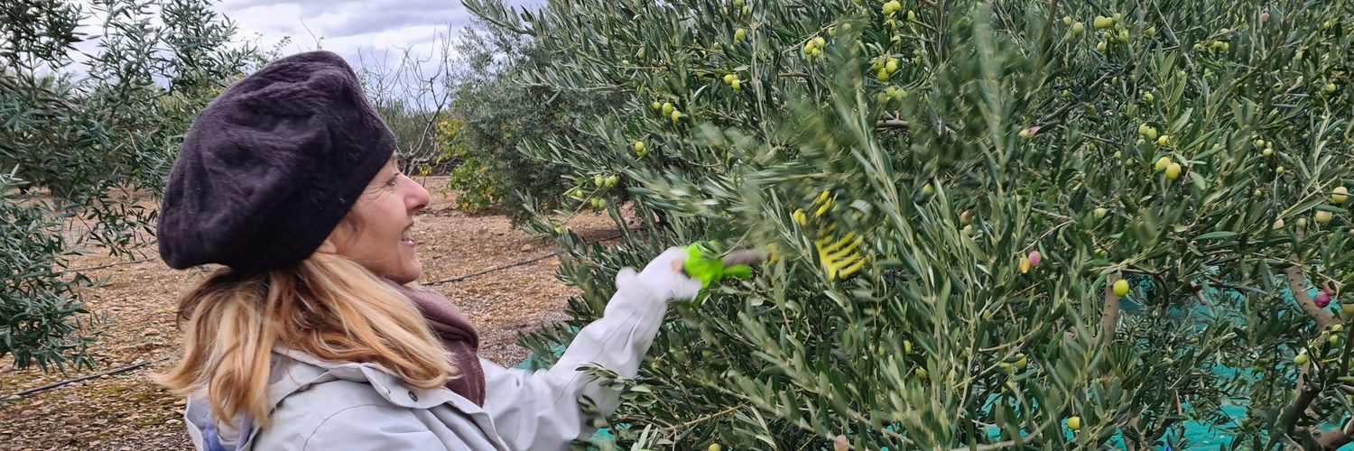 Domaine Arcalis banner