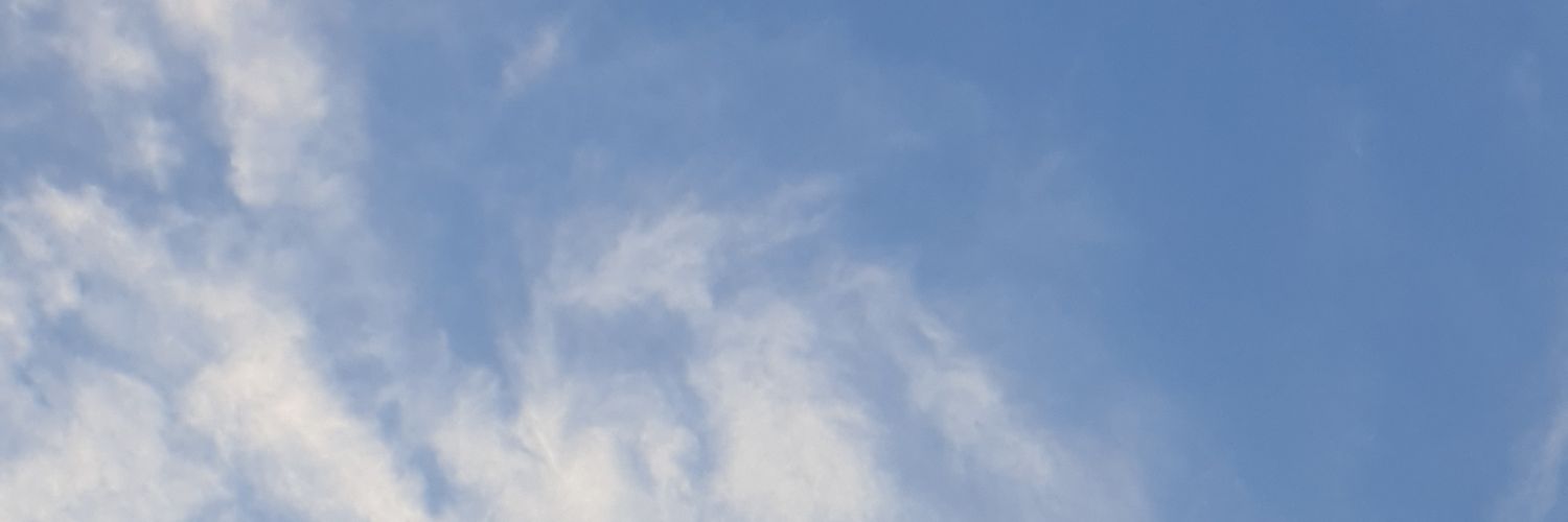 TrueTham's profile banner image