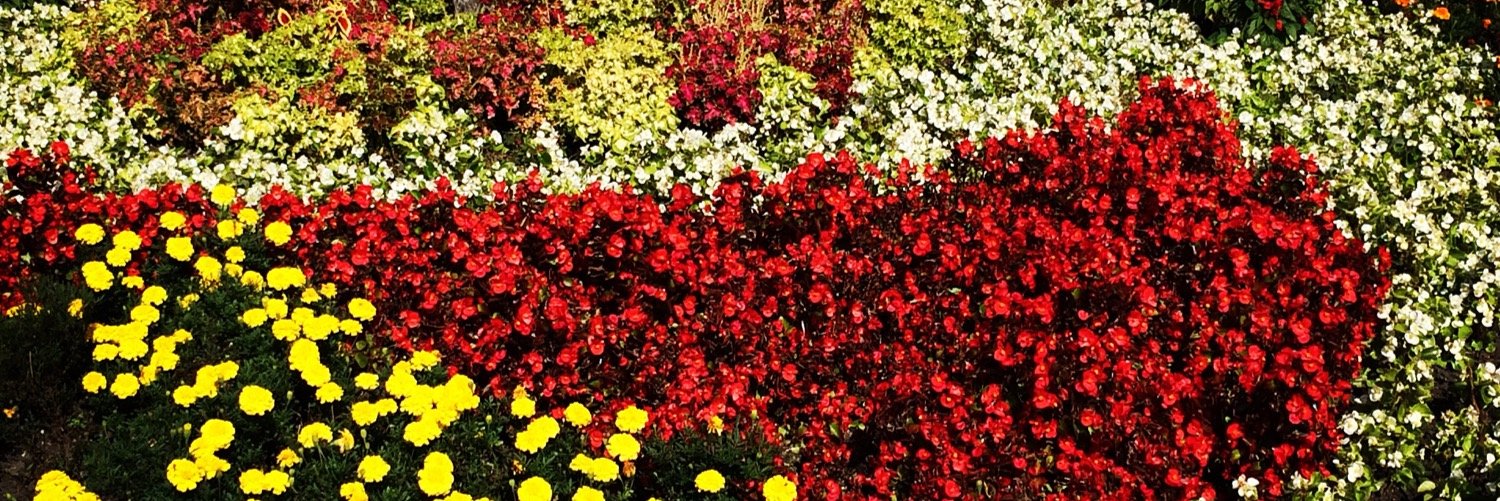 EmiratesLupusSo's profile banner image