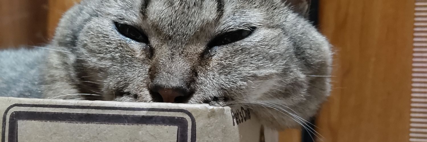 alminium13's profile banner image