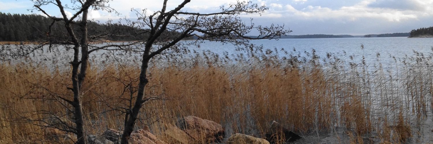 Iiris Hovatta banner