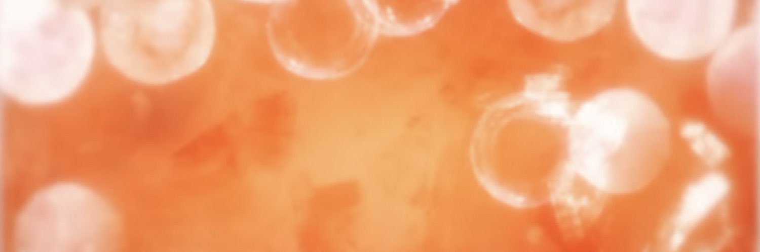 𝙐 𝙏 𝘼 .ᐟ .ᐟ banner