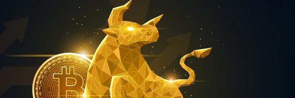 CollinBrownXRP Profile Banner