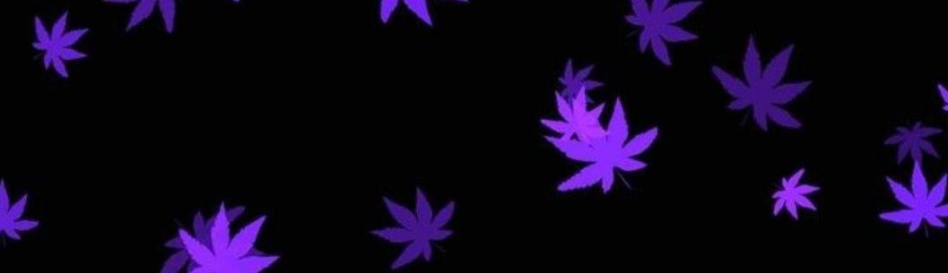 bitblazer_4__'s profile banner image