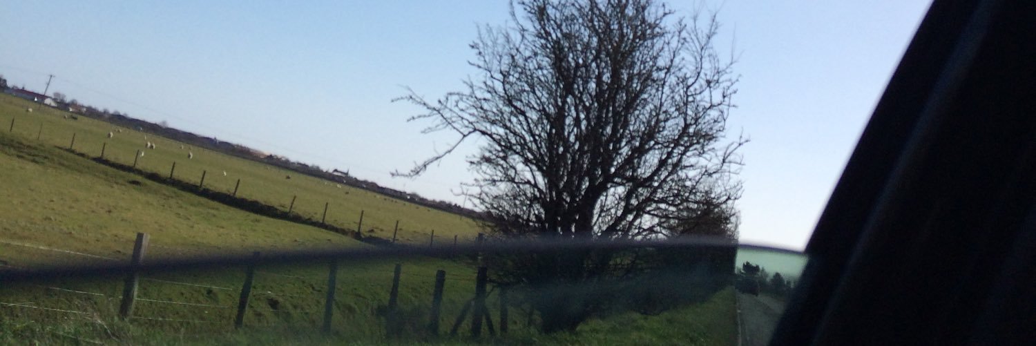 NewsteadEllie's profile banner image