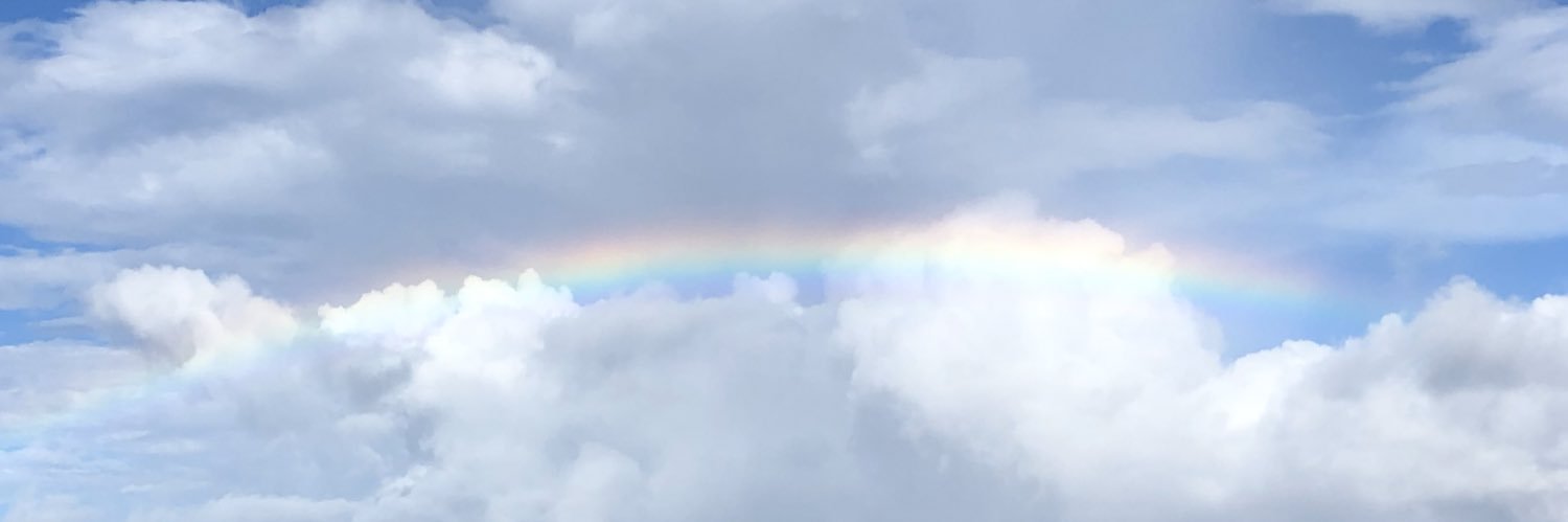 Sunnieraye17's profile banner image