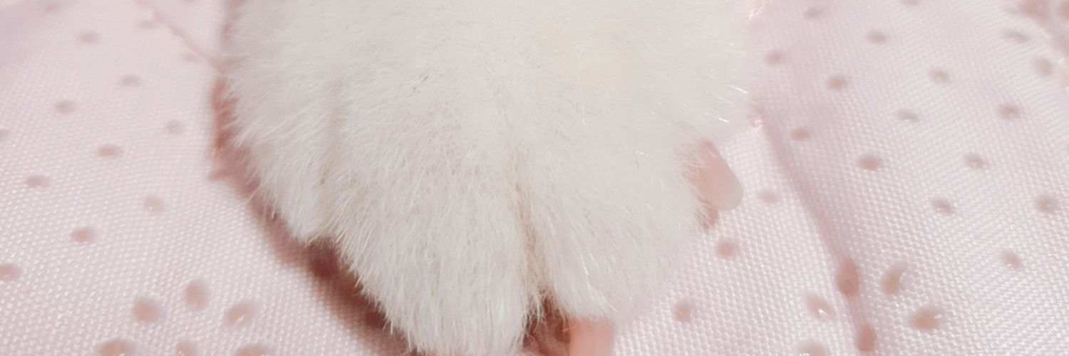 ajtwlsdowls's profile banner image