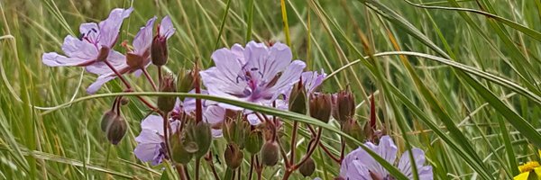 Mtn_tgo Profile Banner