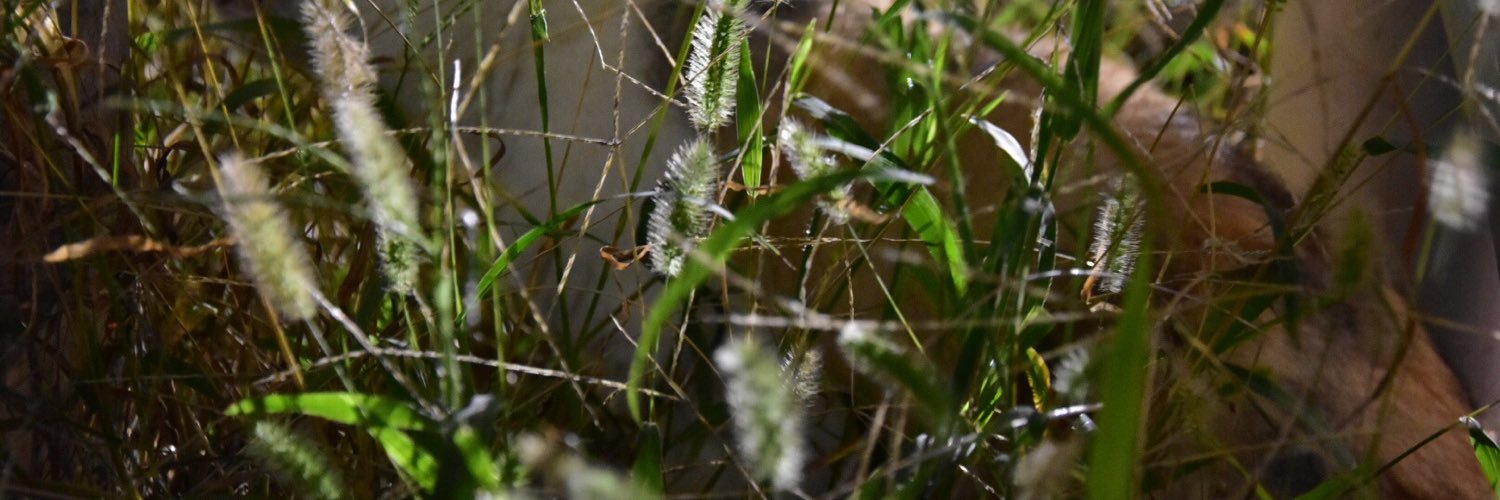 k_44_3's profile banner image