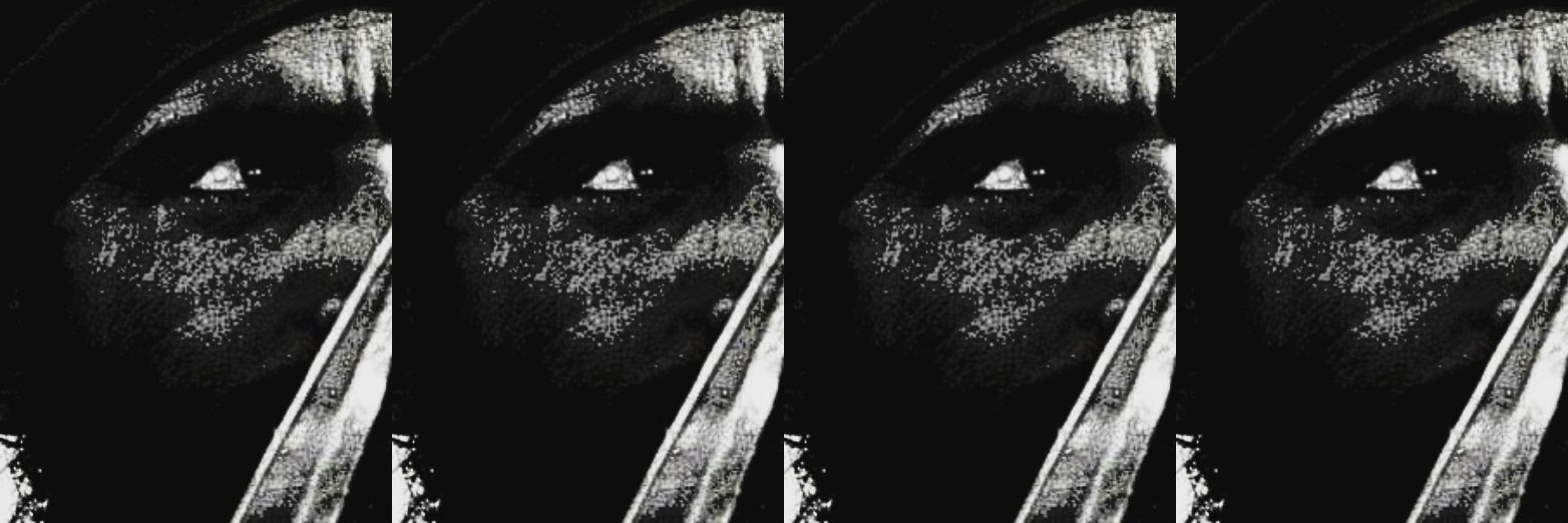 LionsReignMMA's profile banner image