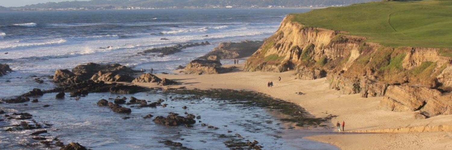 Mariza Hardin banner