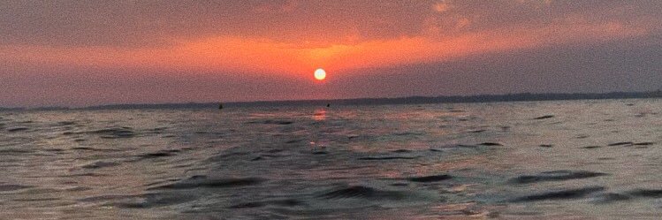 juuliemarsay's profile banner image