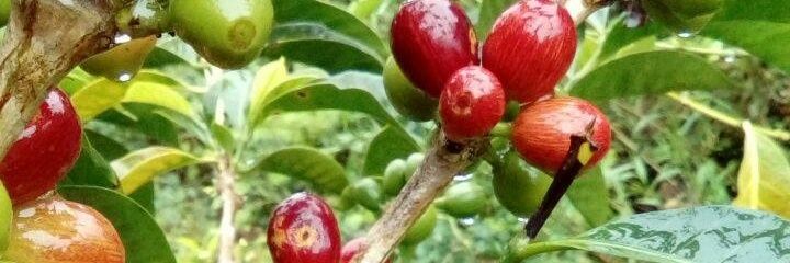 narela28's profile banner image