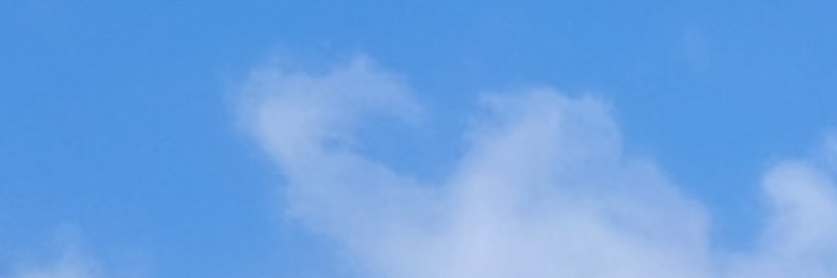 しろくまーくん banner