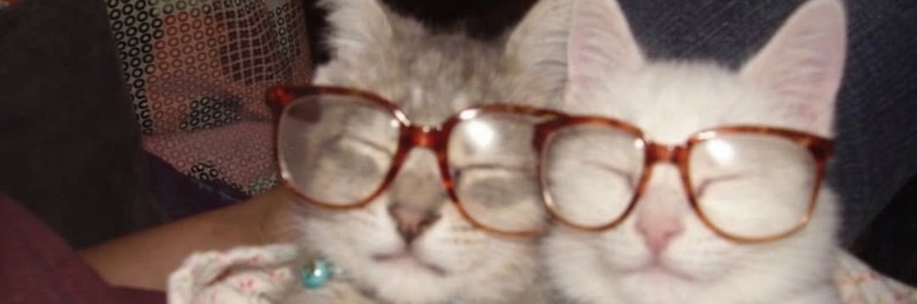 r banner