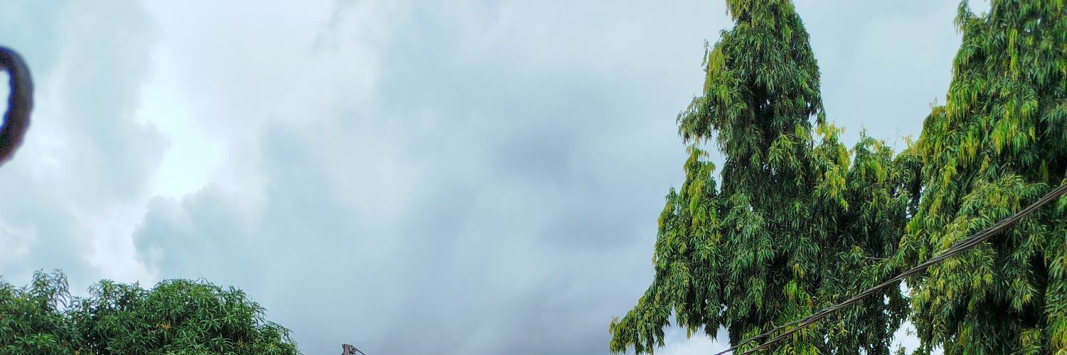 JustNelson banner