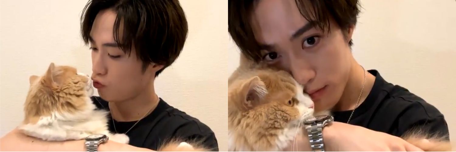 itsu___nyan's profile banner image