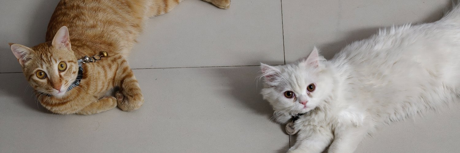 siddish_'s profile banner image