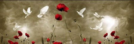 بانوی گرجی's banner
