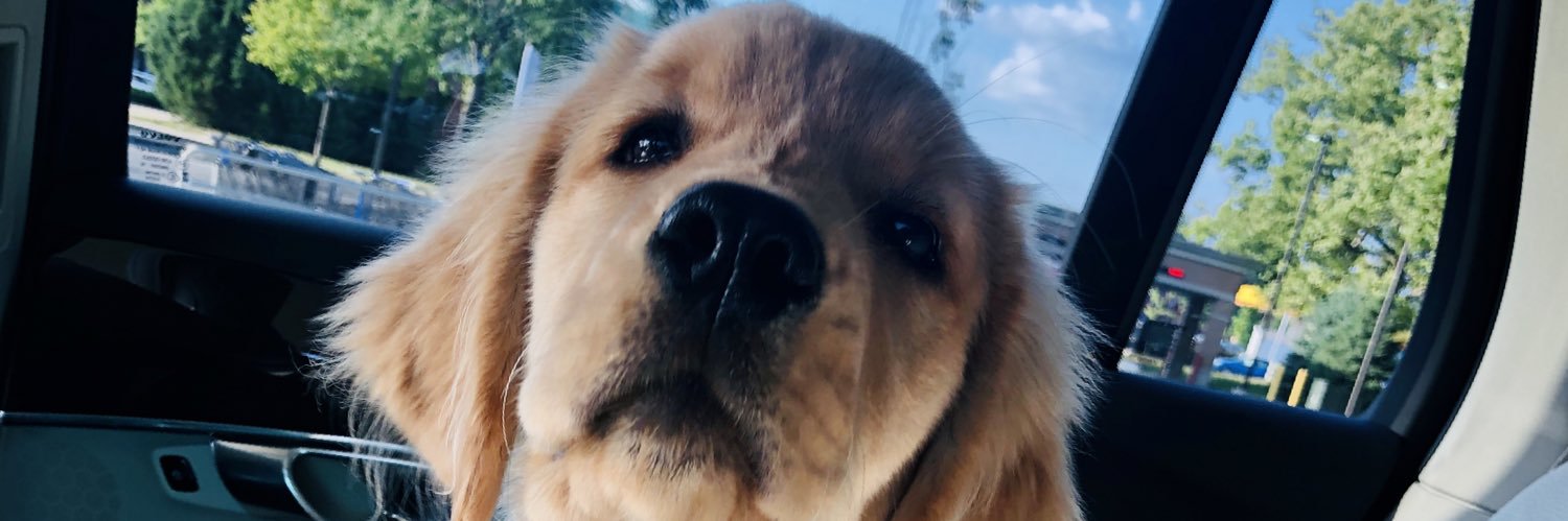 SaraPainter's profile banner image