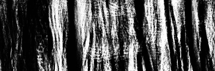 luust banner