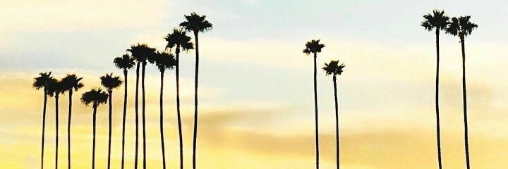 dimeyeye's profile banner image