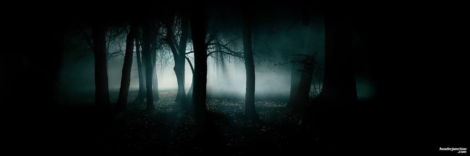 ysznprd's profile banner image