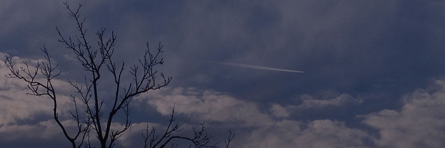 ᴛᴀʜᴀ banner
