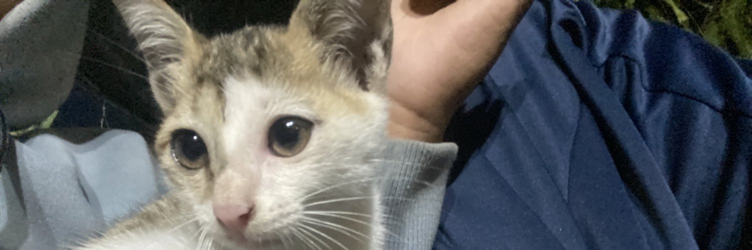 rubbyhurt's profile banner image