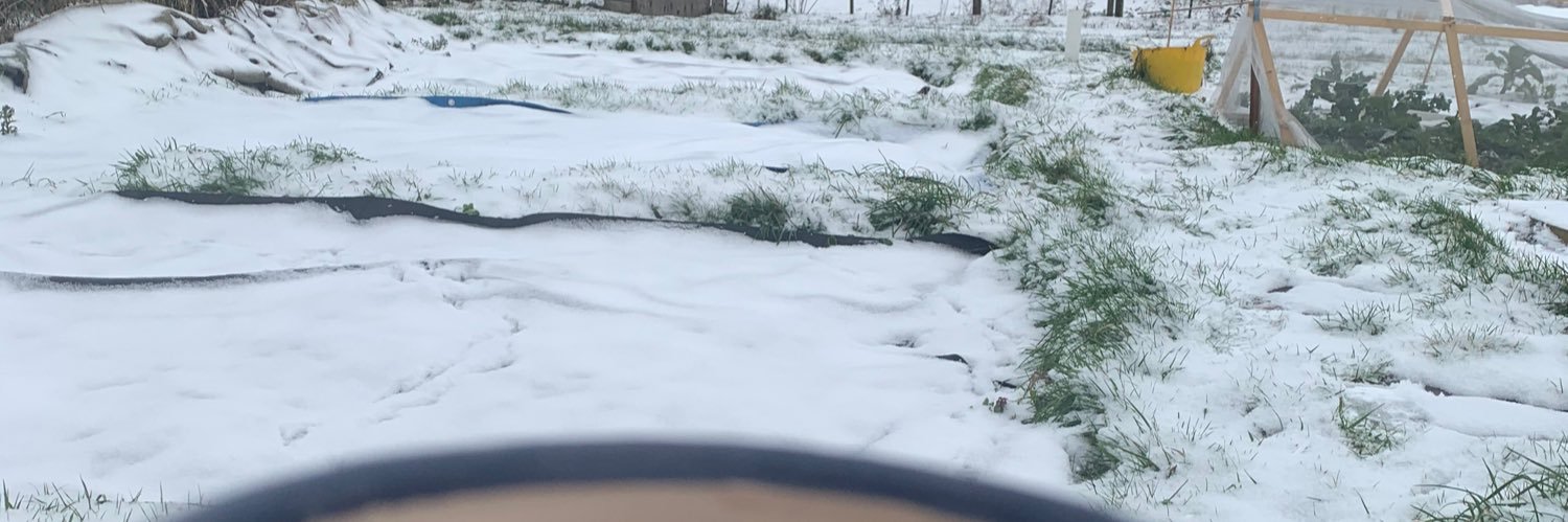 lendal's profile banner image