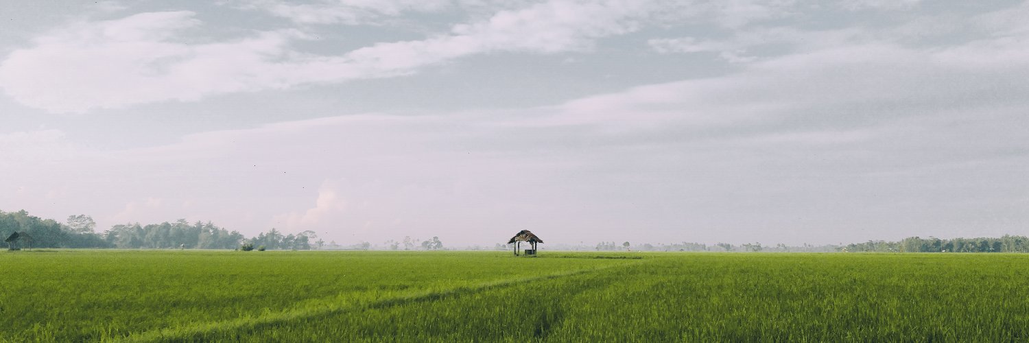 Max Brothers banner
