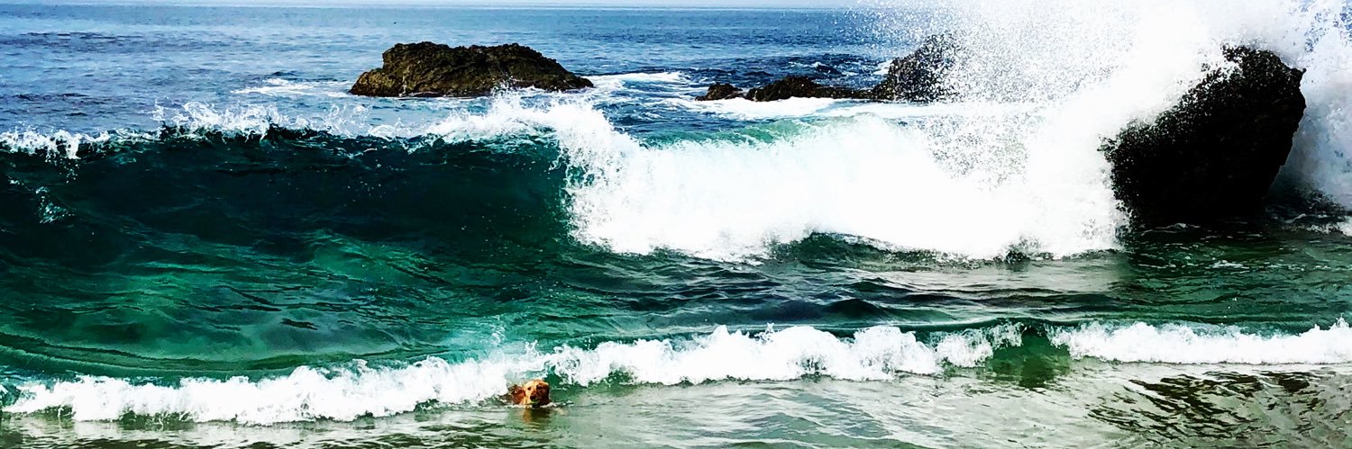 LIV LOL | oSu banner