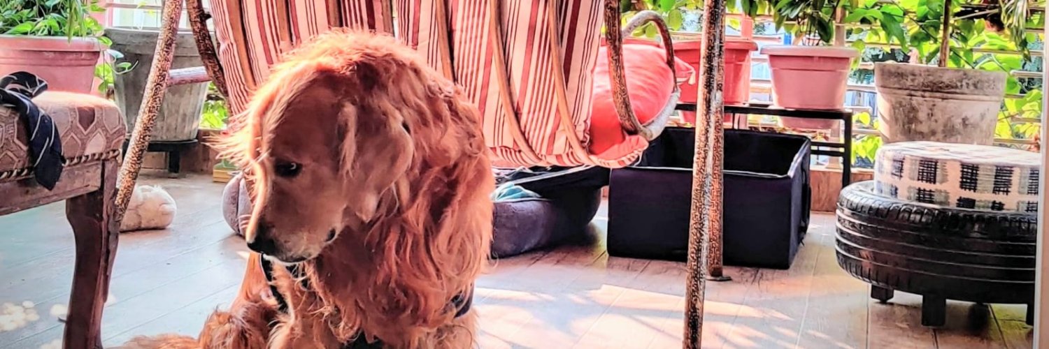 Excess&Balance banner